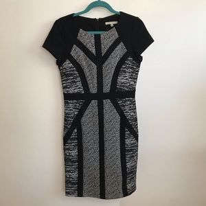 Sandra Darren Tailored Dress with Cap Sleeves